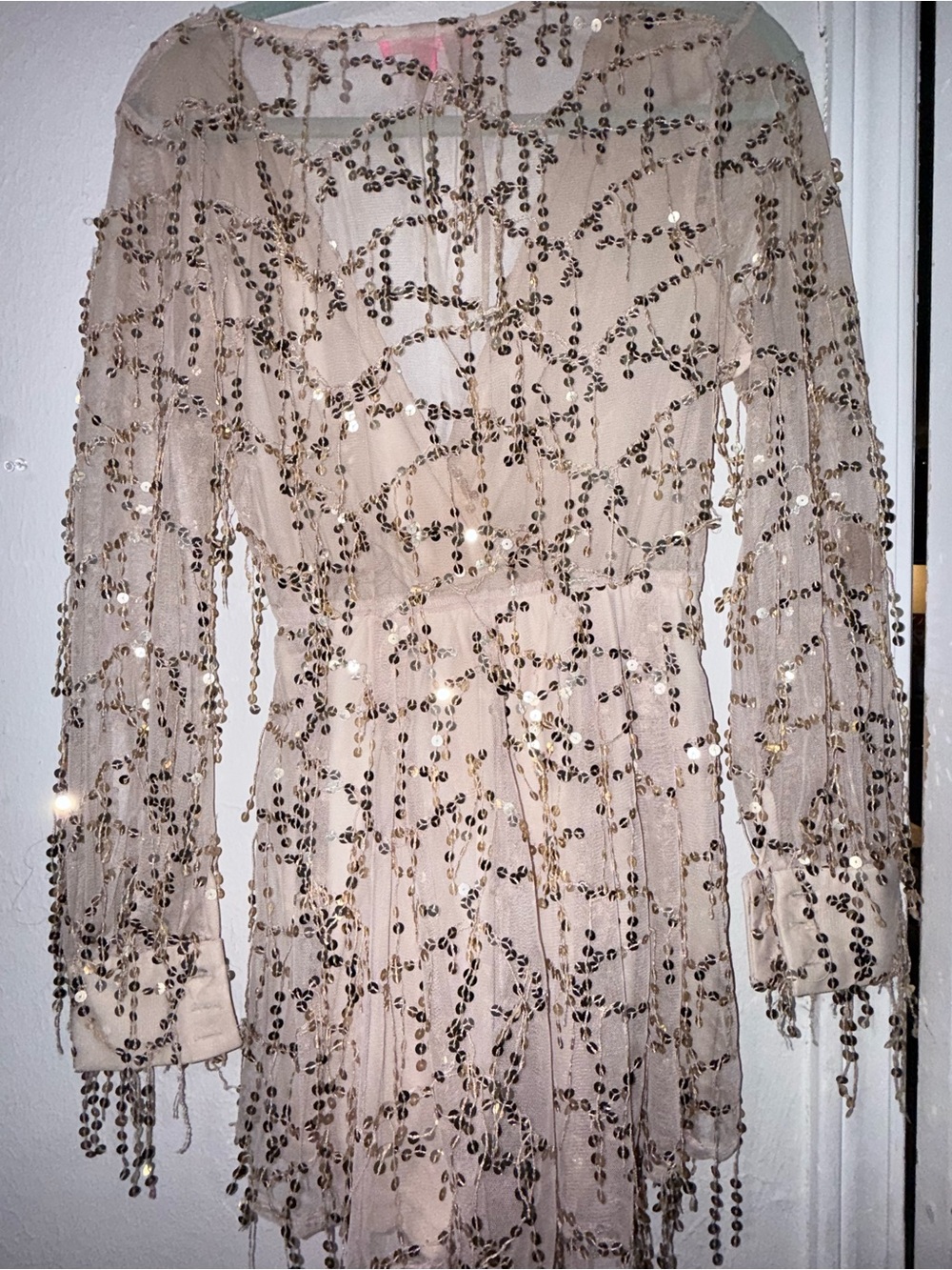 Xtaren Nude Long-Sleeve Beaded Sheer Dress